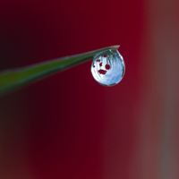 Gouttes d'eau